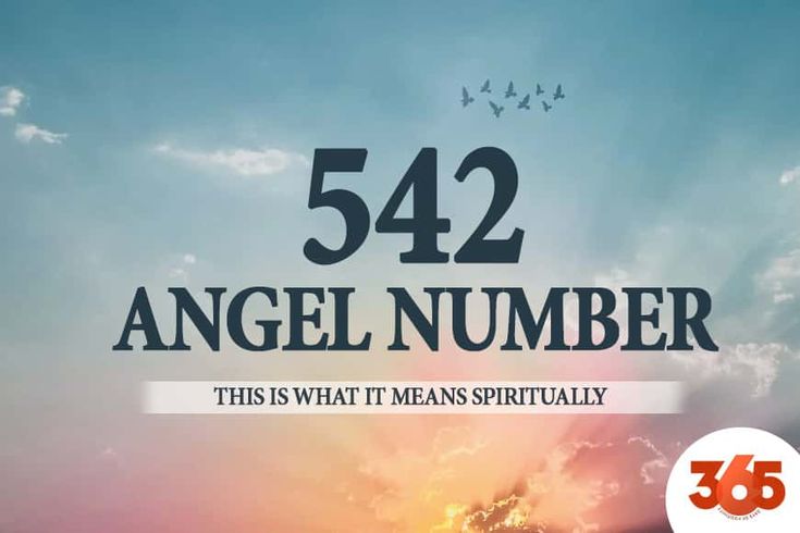 Unlock the Power of 542 Angel Number: A Beginners Guide