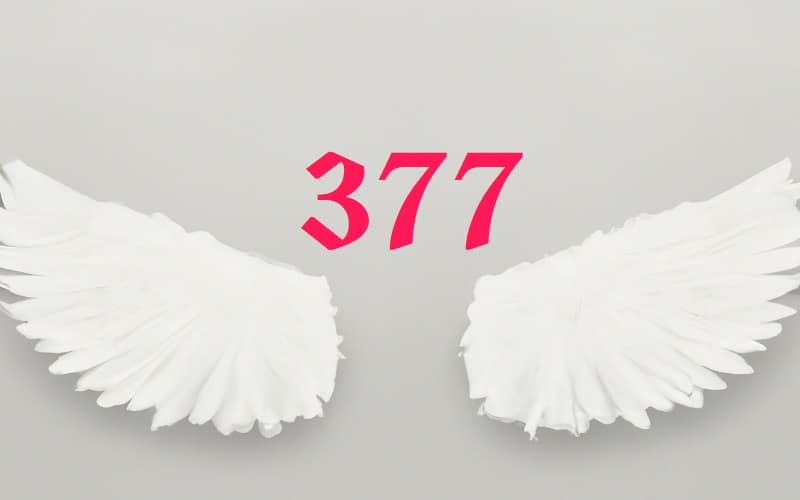 Angel Number 377: Trust Your Intuition and Find Your Path