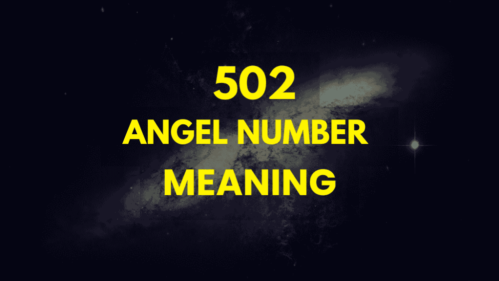 What Does 502 Angel Number Mean? Love, Career, and More