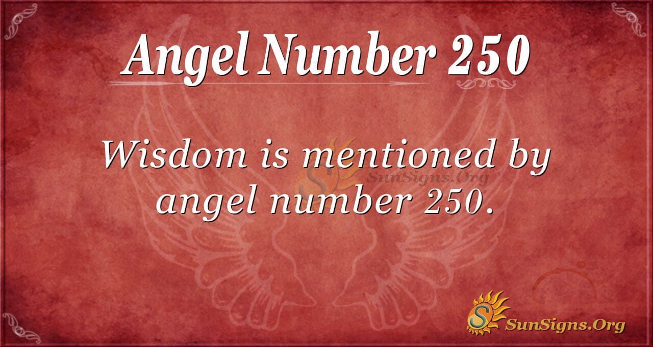 250 Angel Number and Your Love Life (What You Need to Know)