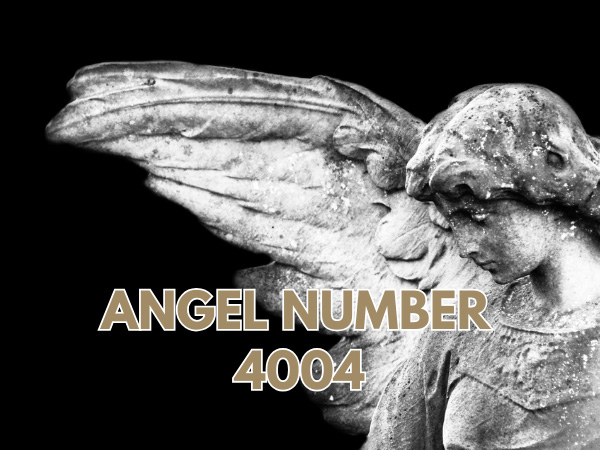 4004 Angel Number Twin Flame Reunion Is It Happening to You Now