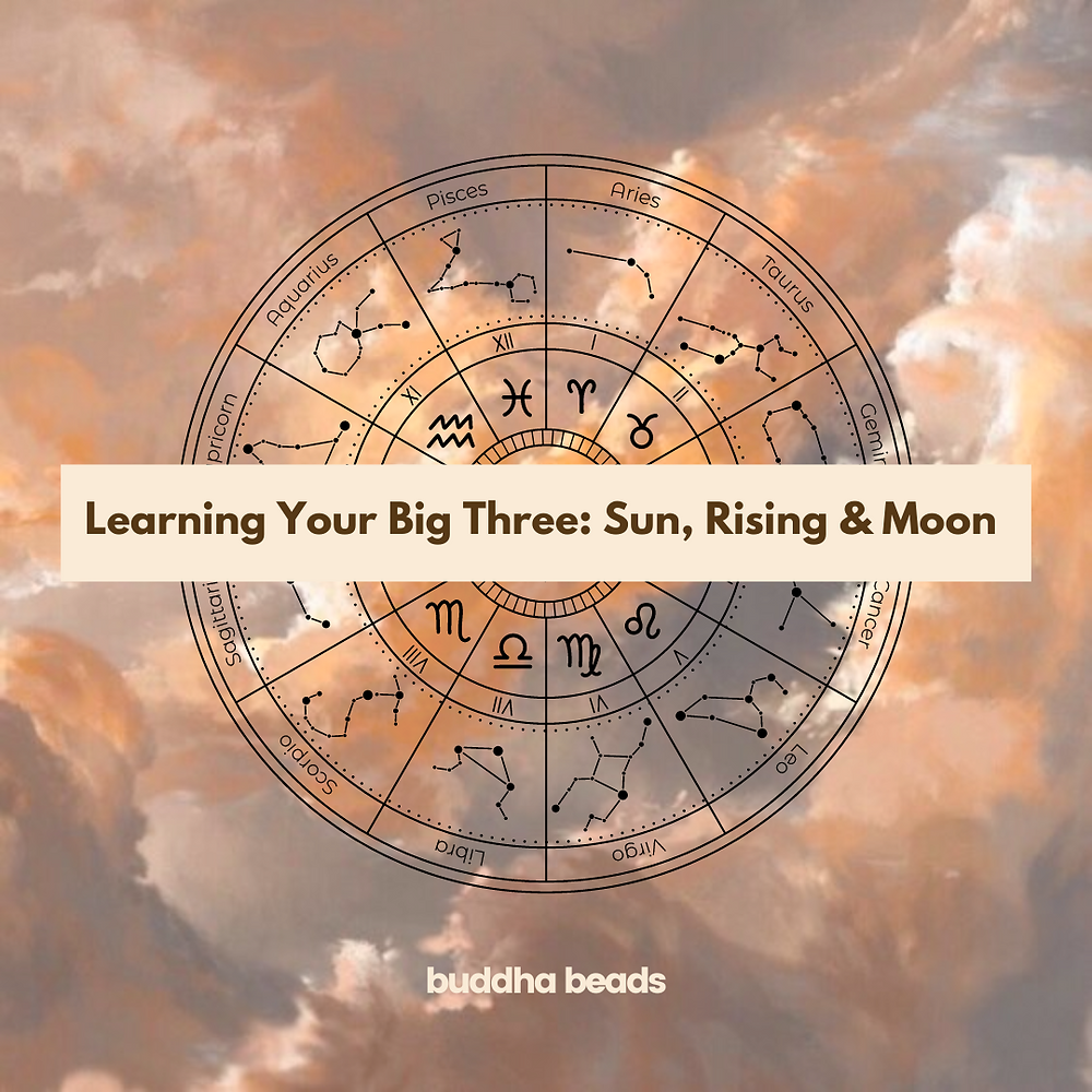 Cancer Sun Aquarius Moon Leo Rising: A Deep Dive into Your Big Three