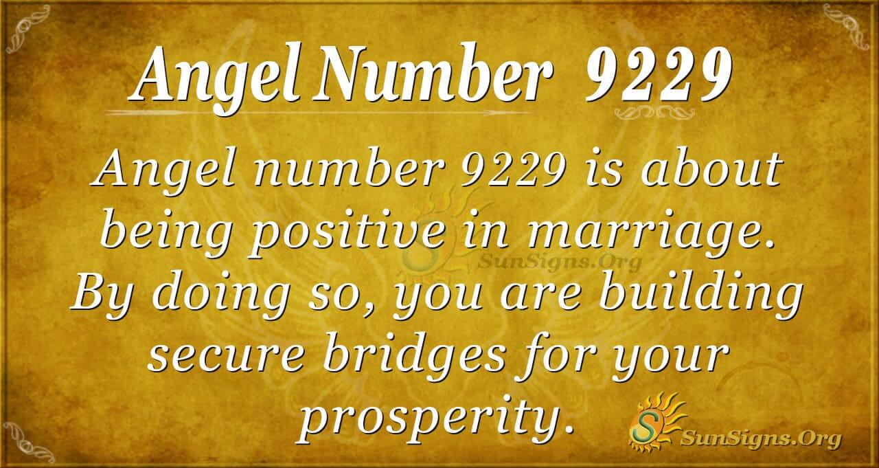Seeing 9229 Angel Number? Here Is What It Means for You!