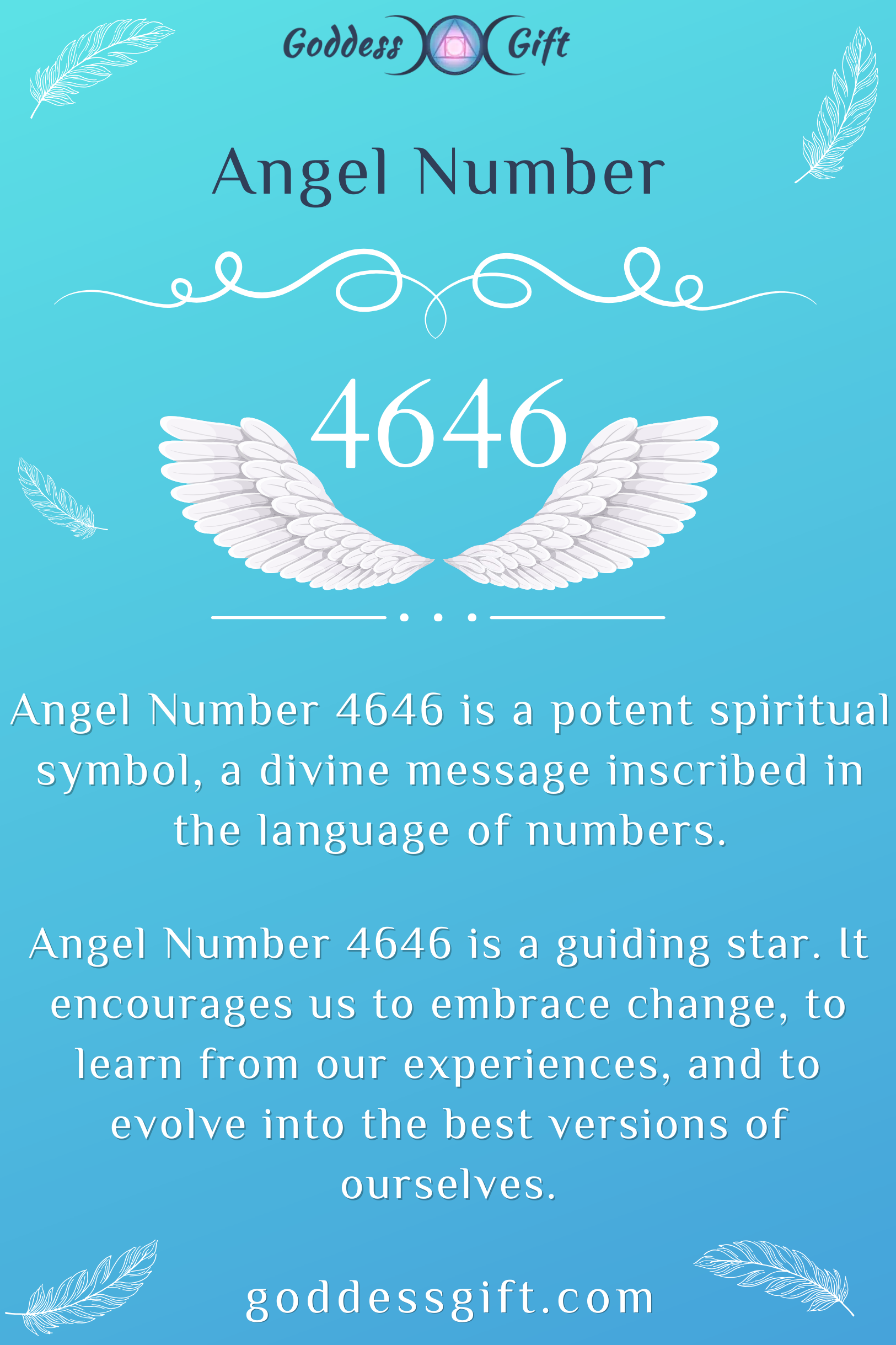 4646 angel number in love and relationships: What does it mean for your romantic life?