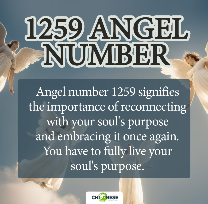 1259 Angel Number Meaning Love Twin Flame and Luck