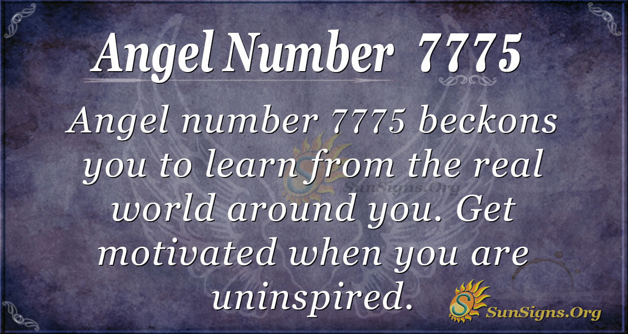 7775 Angel Number: Is It a Sign? Discover the Hidden Meaning Now!
