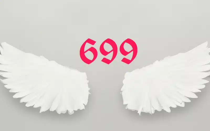Seeing Angel Number 699? Discover Its Powerful Spiritual Meaning in This Guide!