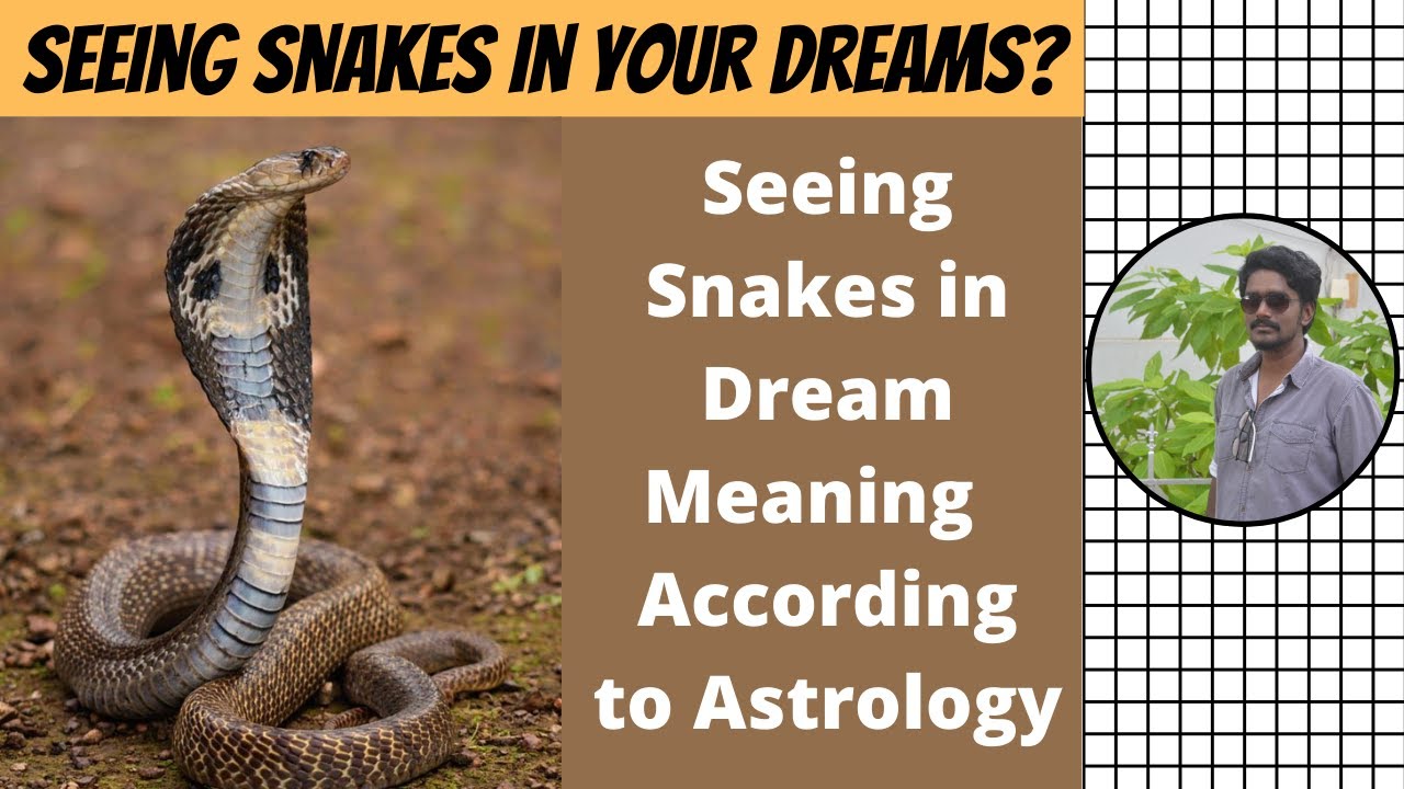 Snake in Dream Meaning Hindu Astrology: Learn the Hidden Secrets and Interpretations!