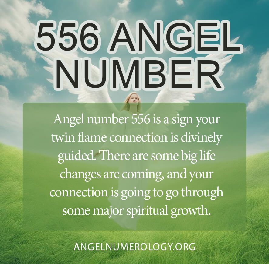 556 Angel Number: What Is It Trying to Tell You Right Now?