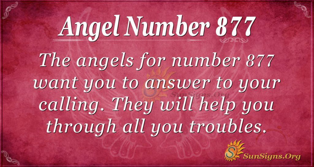 Is Angel Number 877 Appearing in Your Life? Heres What You Need to Know About It