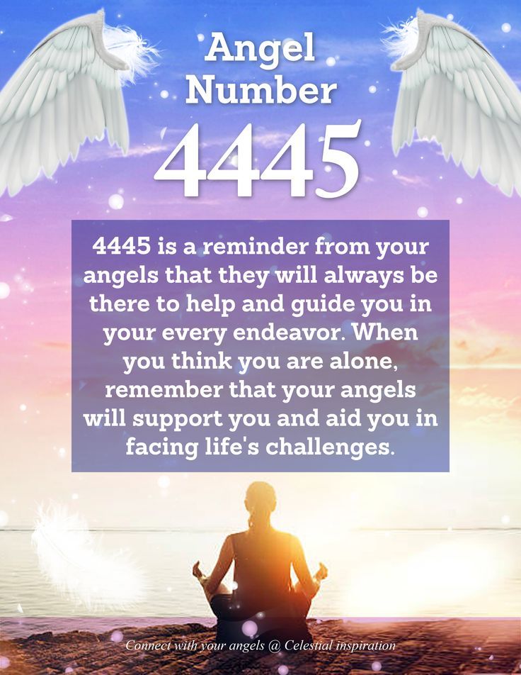 What Is 4445 Angel Number Trying to Tell You? Find out.