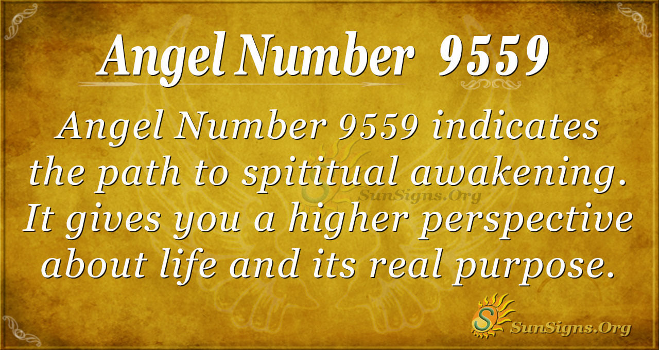 9559 Angel Number Meaning: What Is This Powerful Number Trying to Tell You?