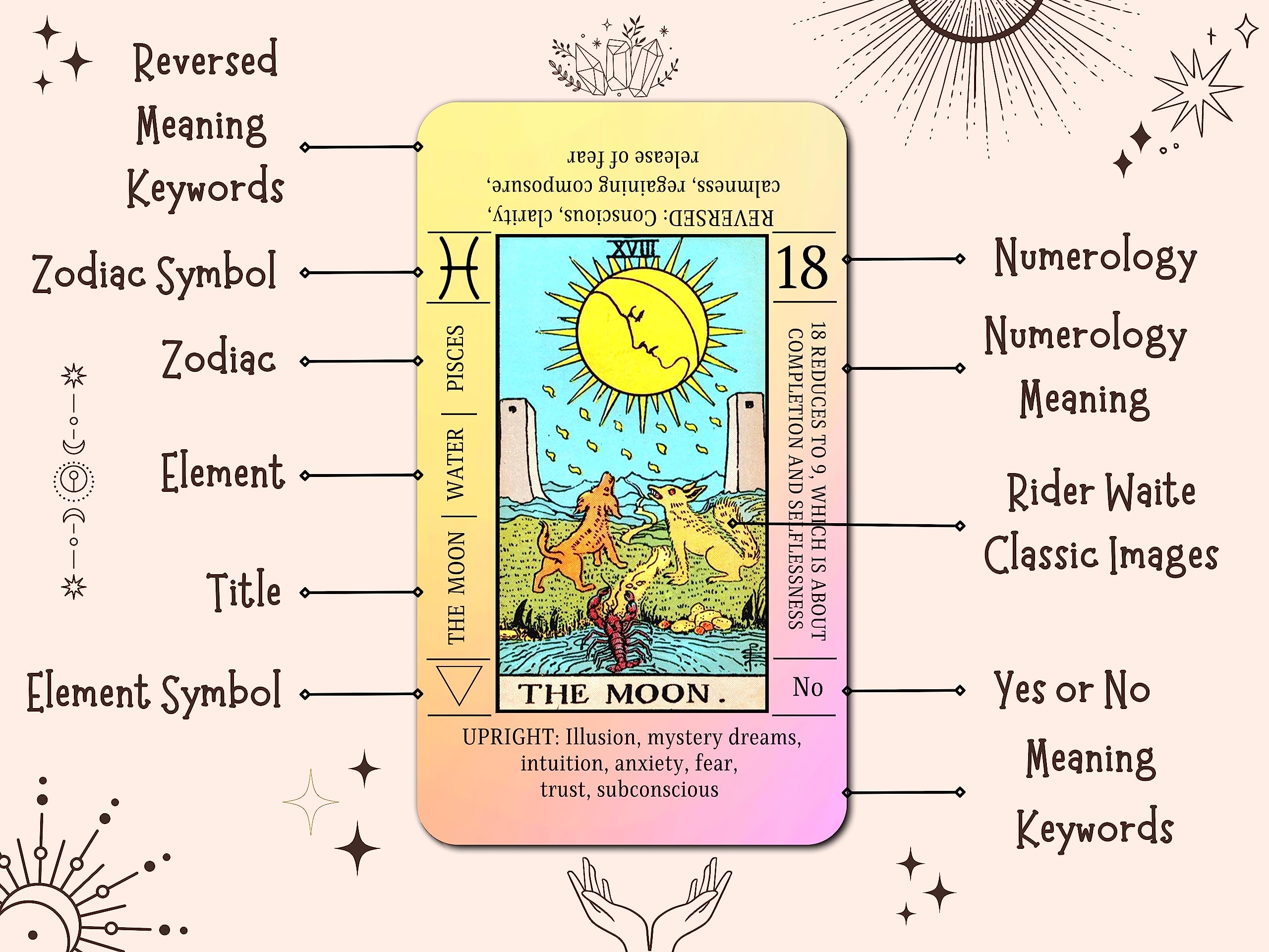 Sun and Moon Cards Meaning: Simple Tips for Tarot Beginners Now!